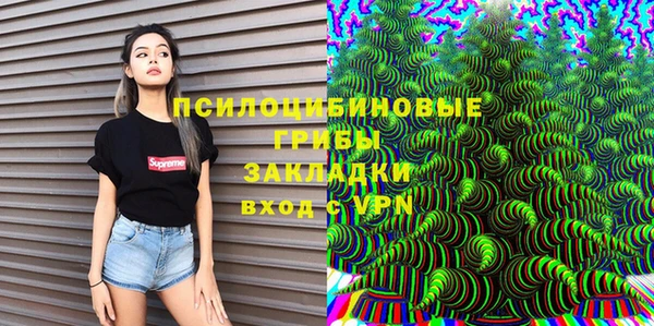 хмурый Аркадак