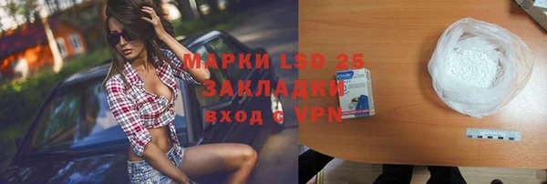 хмурый Аркадак