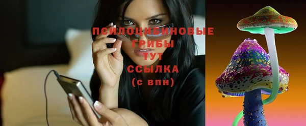хмурый Аркадак