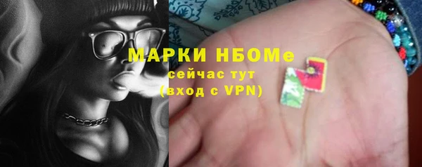 шишки Арсеньев