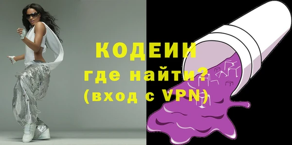 хмурый Аркадак