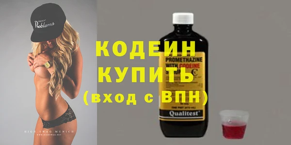 хмурый Аркадак
