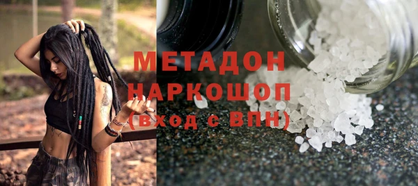 шишки Арсеньев