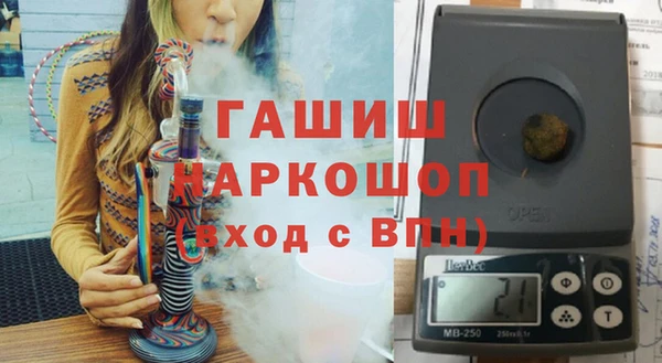 хмурый Аркадак