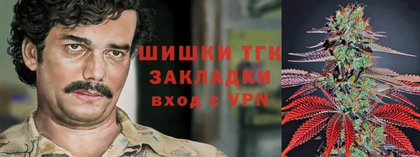 хмурый Аркадак