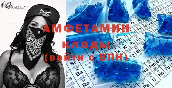 хмурый Аркадак