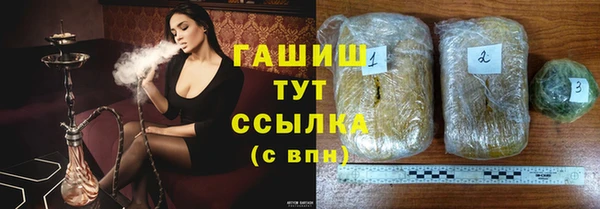 хмурый Аркадак