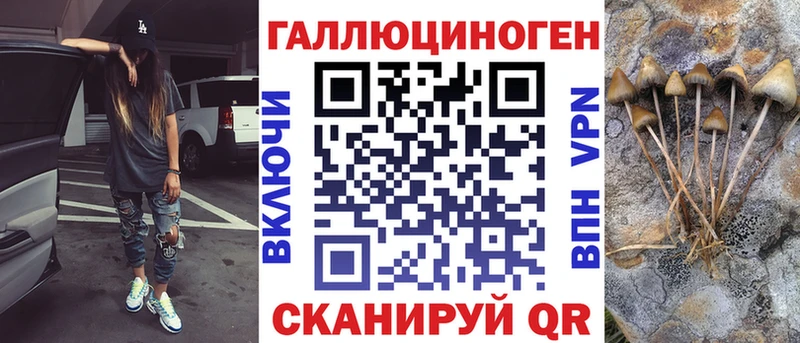 Галлюциногенные грибы Cubensis Луга
